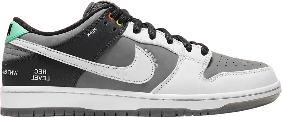 Nike Sb Dunk Low Camcorder